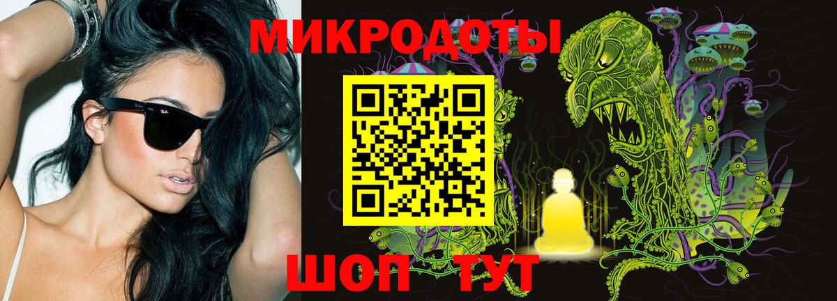 Галлюциногенные грибы Psilocybe Зеленокумск
