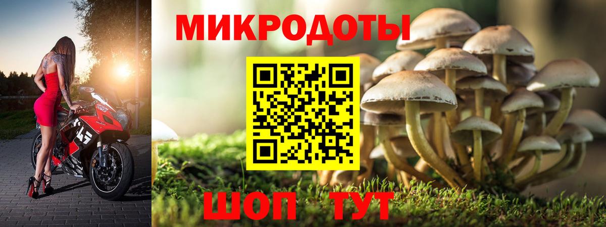 Зеленокумск  наркошоп  Псилоцибиновые грибы ЛСД  Вход с VPN  Псилоцибиновые грибы прущие грибы 